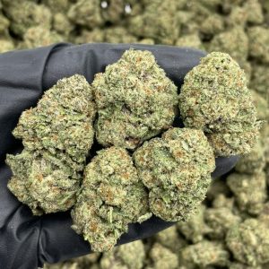 Lemon Berry Runtz Mixed Lights