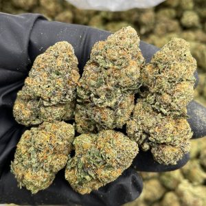 Cherry Gusherz mixed lights