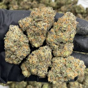 Rainbow Dosi mixed lights