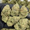 Melonade Zkittlez mixed lights