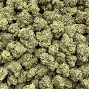 Frozen Mimosa Mixed Lights
