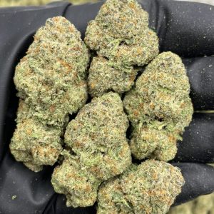 Pineapple Starburst Mixed Lights