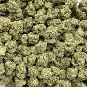 Tropicana Crashers mixed lights