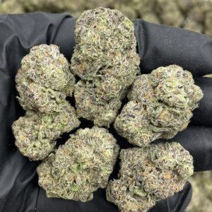 Black Cherry Nightshade Mixed Lights