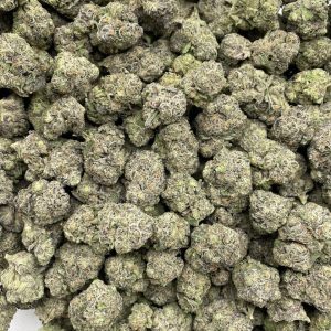 Black Cherry Nightshade Mixed Lights