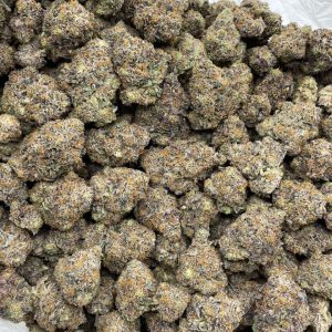 Orange Candy Certz indoors