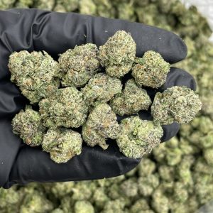 Bubblegum Poppers Indoor Smalls