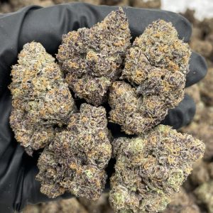 Zkittle M&M’s indoors