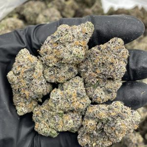 Super Lemon Sprite indoors