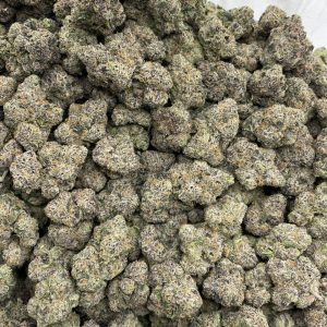Super Lemon Sprite indoors