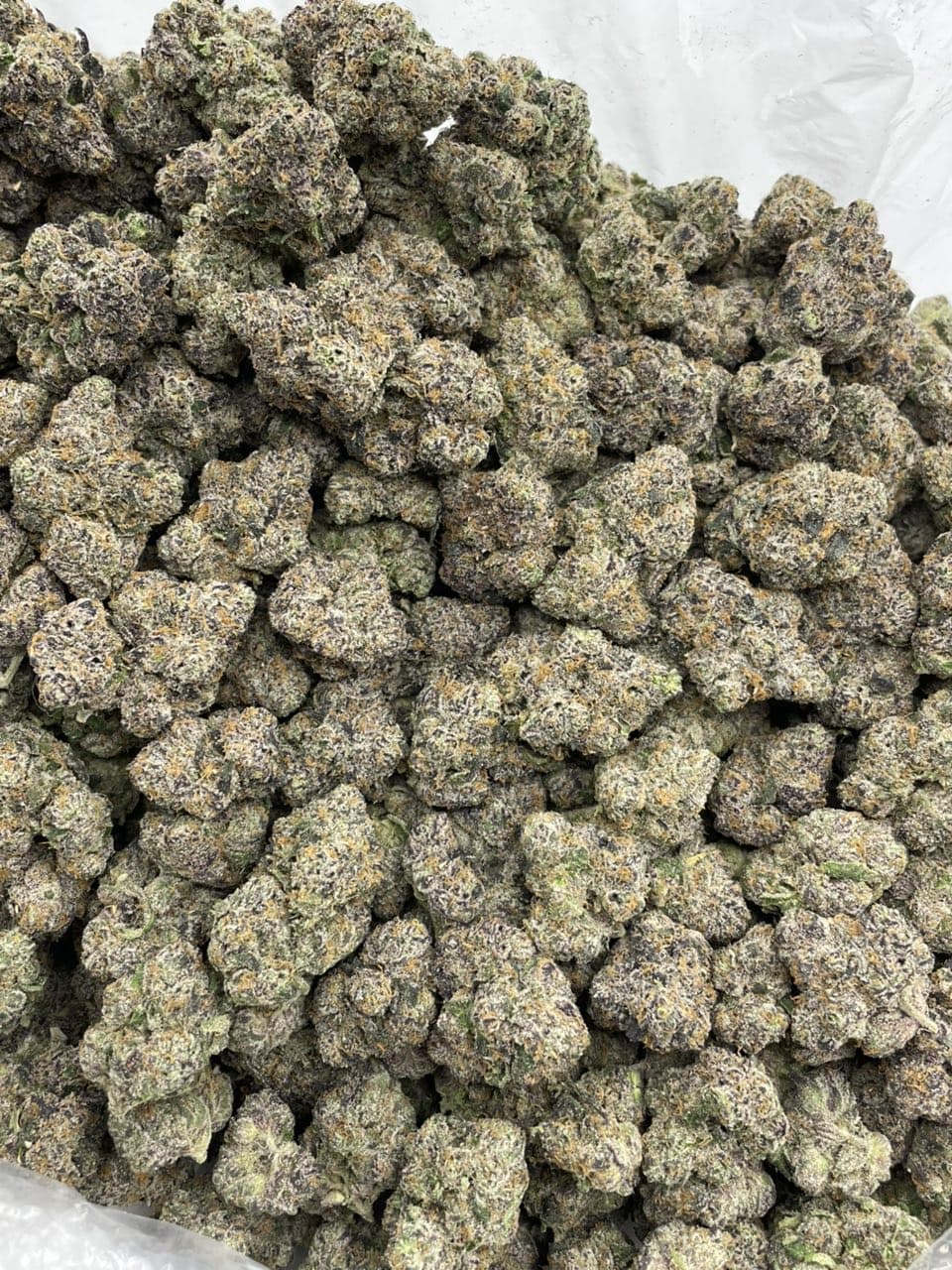 Super Lemon Sprite indoors